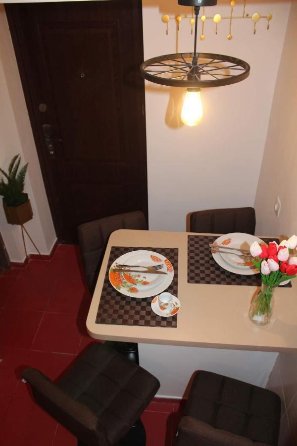 Apartament Dania & Petru Apartment Tirgu Ocna Ngoại thất bức ảnh