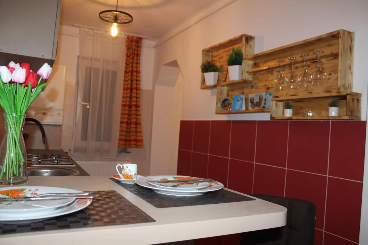 Apartament Dania & Petru Apartment Tirgu Ocna Ngoại thất bức ảnh