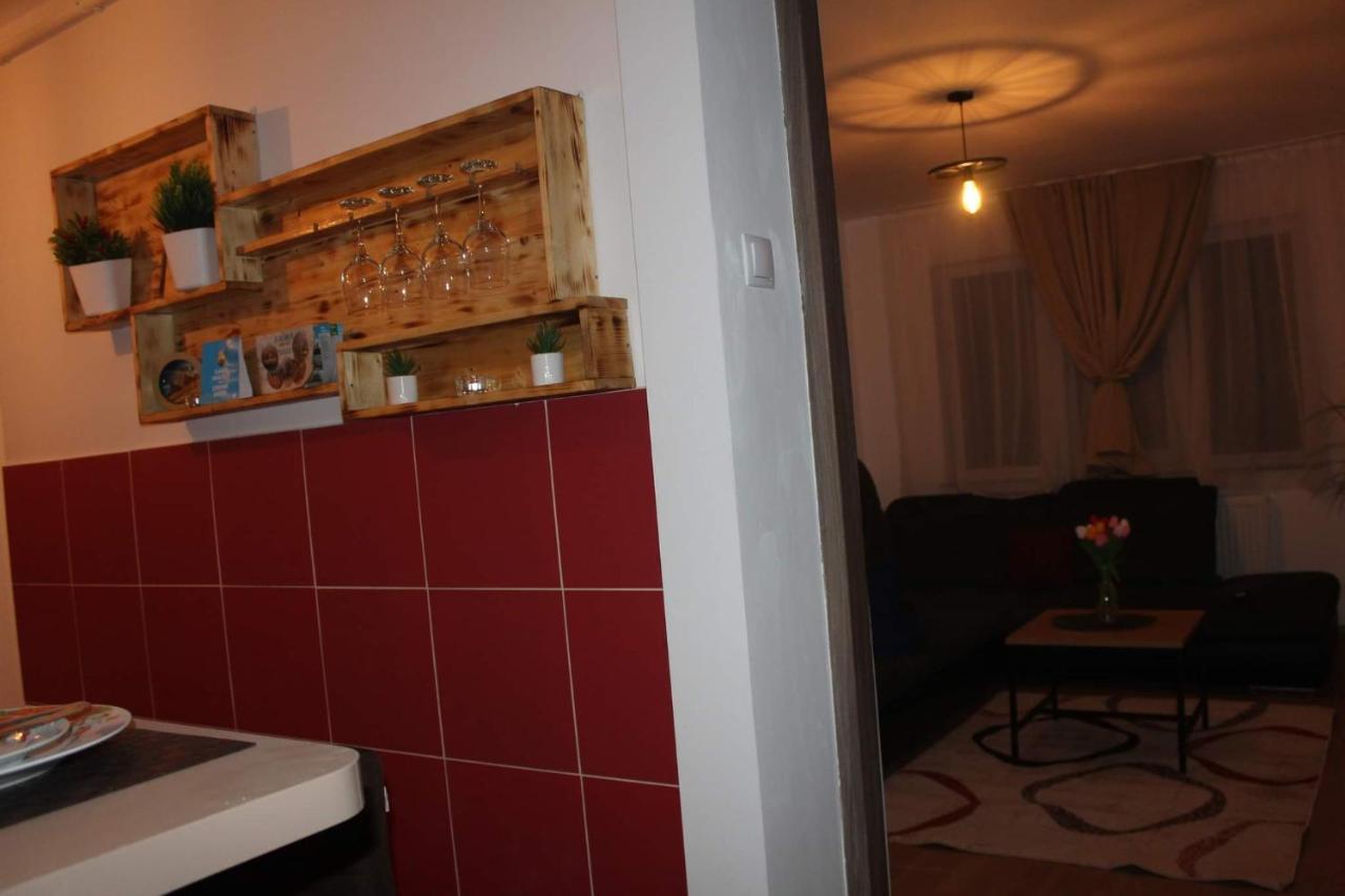 Apartament Dania & Petru Apartment Tirgu Ocna Ngoại thất bức ảnh