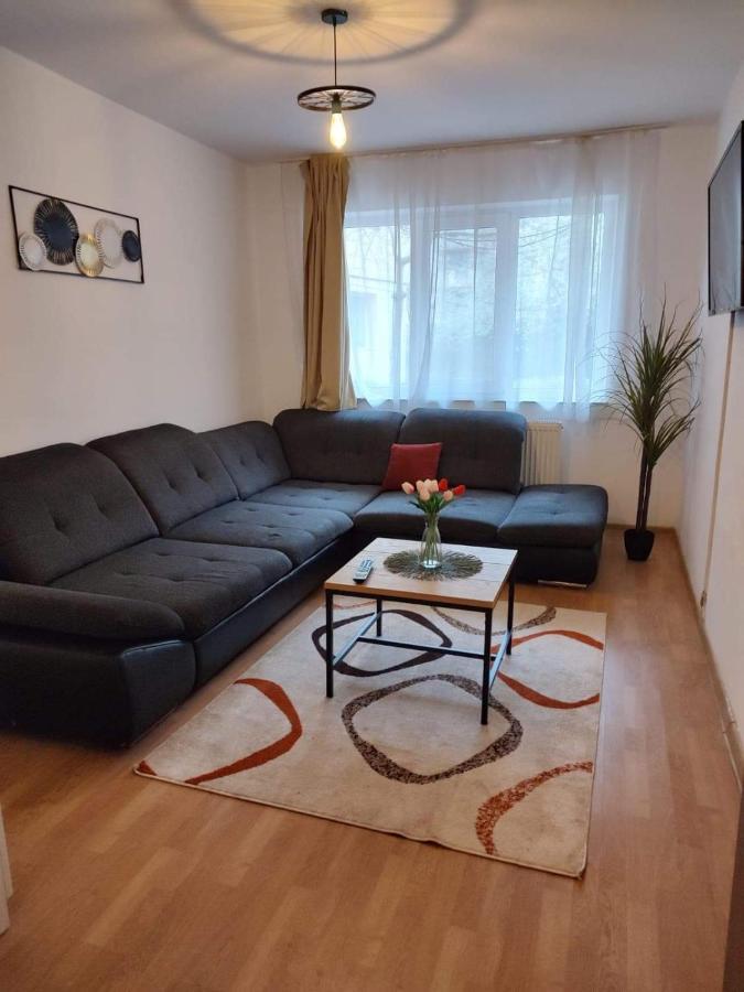 Apartament Dania & Petru Apartment Tirgu Ocna Ngoại thất bức ảnh